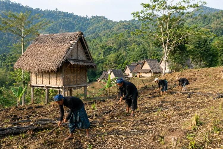 Sistem Pertanian Adat Masyarakat Baduy: Huma, Leuit, dan Alam